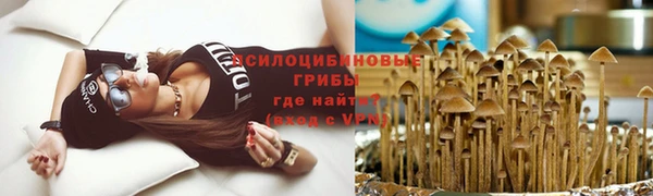 мет Дмитров