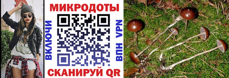 Псилоцибиновые грибы Cubensis МЕГА ONION Минусинск что такое наркотик